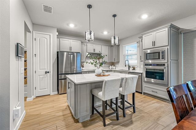 2060 CANOPY TERRACE BOULEVARD, Deland, FL 32724