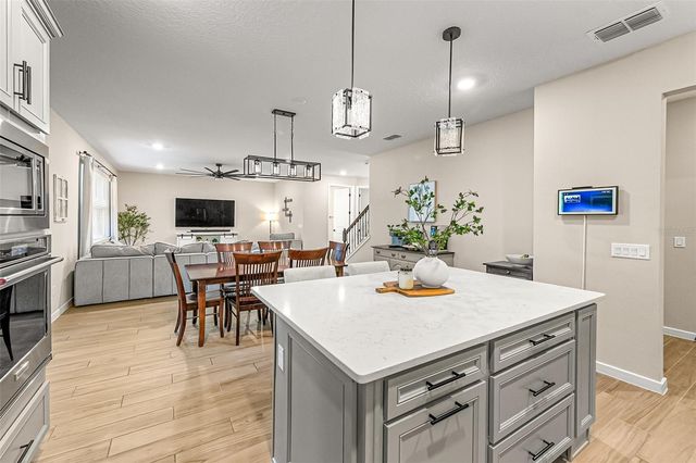 2060 CANOPY TERRACE BOULEVARD, Deland, FL 32724