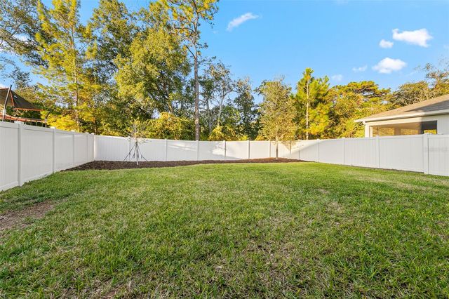 2060 CANOPY TERRACE BOULEVARD, Deland, FL 32724