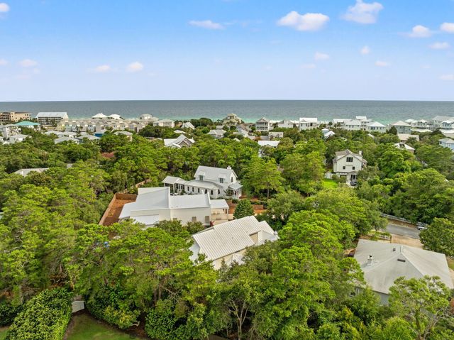 31 Seabreeze Place, Inlet Beach, FL 32461
