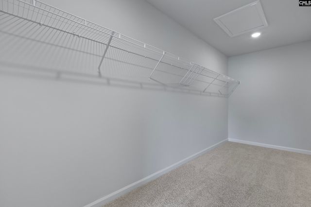 316 Paratrooper Lane, Columbia, SC 29229