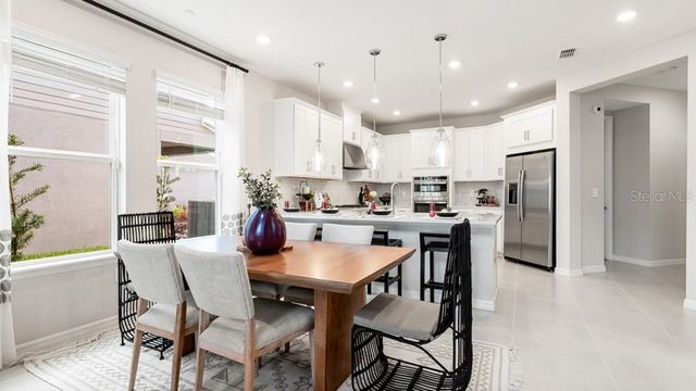 11400 STRONG STEM ROW, San Antonio, FL 33576