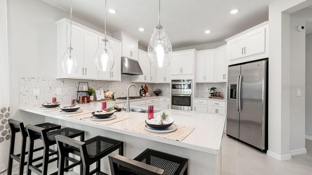 11400 STRONG STEM ROW, San Antonio, FL 33576