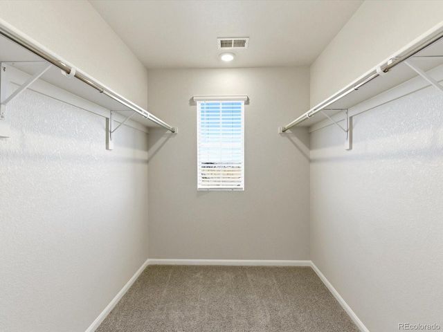 1596 Riverplace Dr 5, Windsor, CO 80550