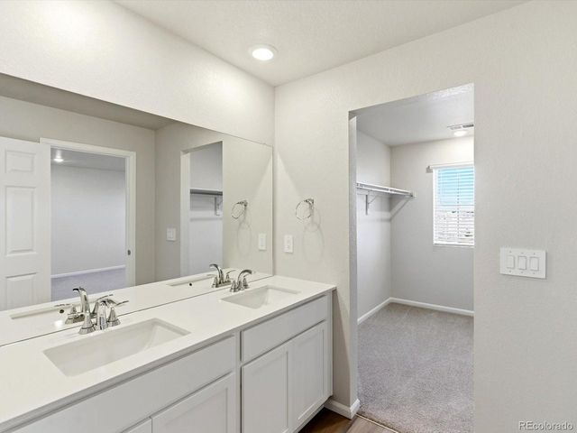 1596 Riverplace Dr 5, Windsor, CO 80550