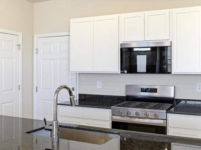 1596 Riverplace Dr 5, Windsor, CO 80550