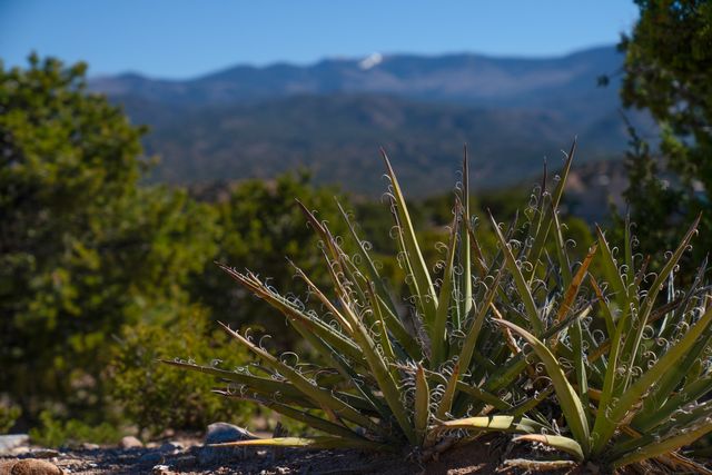 117 Valle Sereno 202, Santa Fe, NM 87506