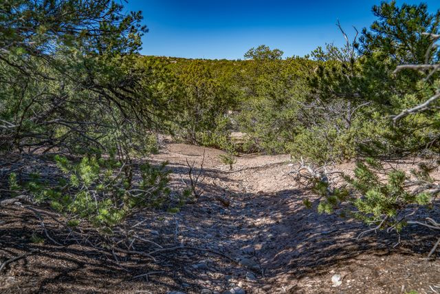 117 Valle Sereno 202, Santa Fe, NM 87506