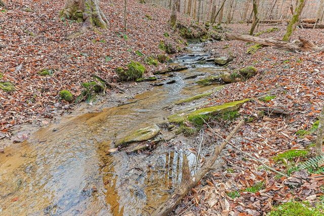 30 Chancel Circle, Ellijay, GA 30540