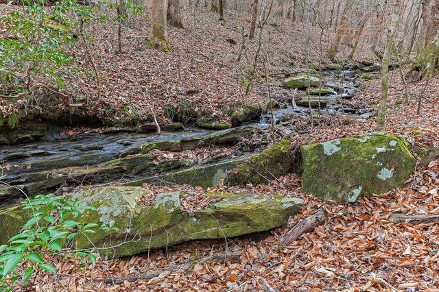 30 Chancel Circle, Ellijay, GA 30540