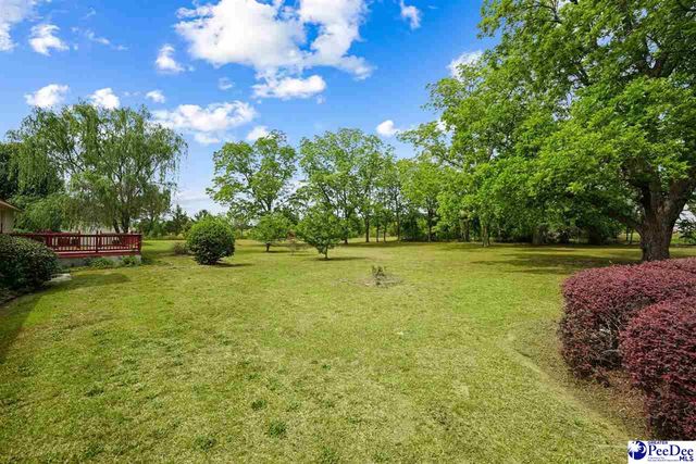 1412 Jeffords Mill Rd, Darlington, SC 29540