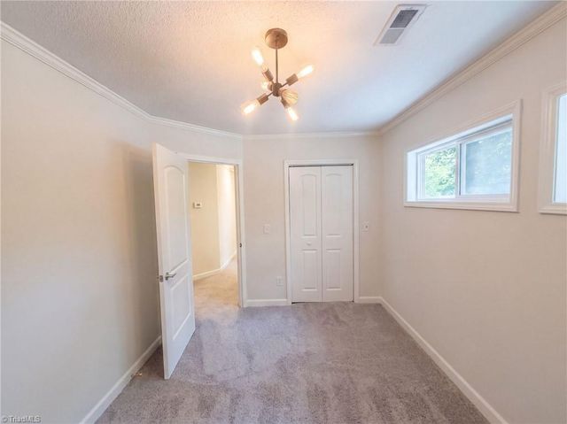 113 Forestview Drive, Elon, NC 27244