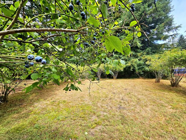 614 HASSETT St, Brookings, OR 97415