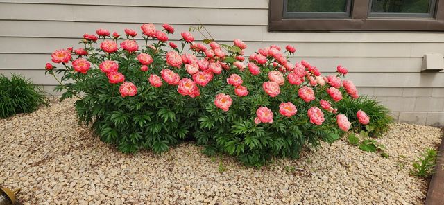 1688 Chatham Avenue, Arden Hills, MN 55112