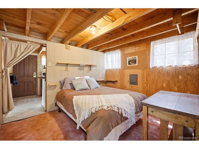 652 Payne Gulch Rd, Bailey, CO 80421