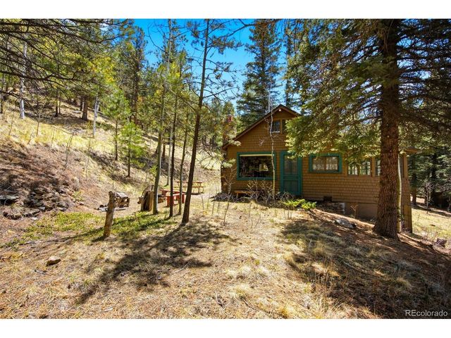 652 Payne Gulch Rd, Bailey, CO 80421