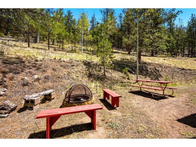652 Payne Gulch Rd, Bailey, CO 80421