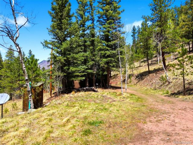 652 Payne Gulch Rd, Bailey, CO 80421
