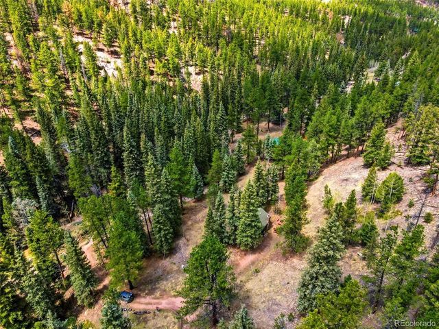 652 Payne Gulch Rd, Bailey, CO 80421
