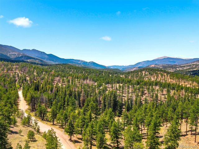 652 Payne Gulch Rd, Bailey, CO 80421