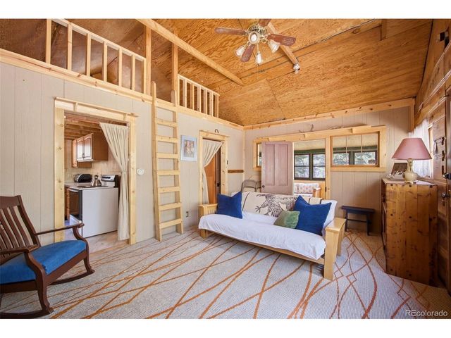 652 Payne Gulch Rd, Bailey, CO 80421