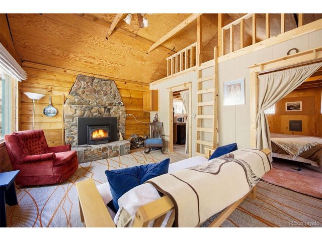 652 Payne Gulch Rd, Bailey, CO 80421