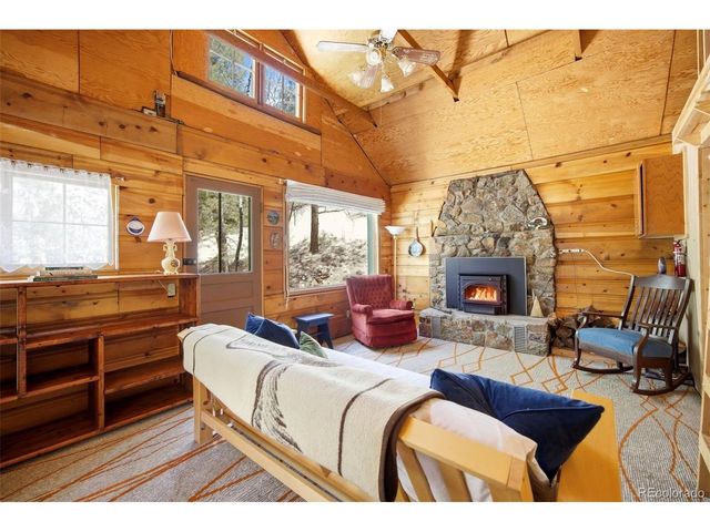 652 Payne Gulch Rd, Bailey, CO 80421