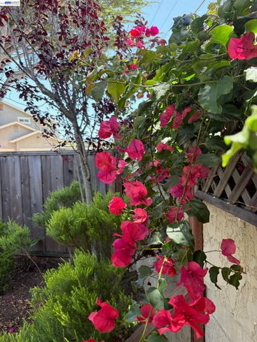 217 Casa Verde Way, Monterey, CA 93940
