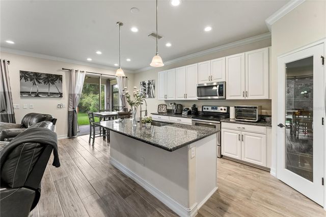 1295 MONTGOMERY BELL ROAD, Wesley Chapel, FL 33543