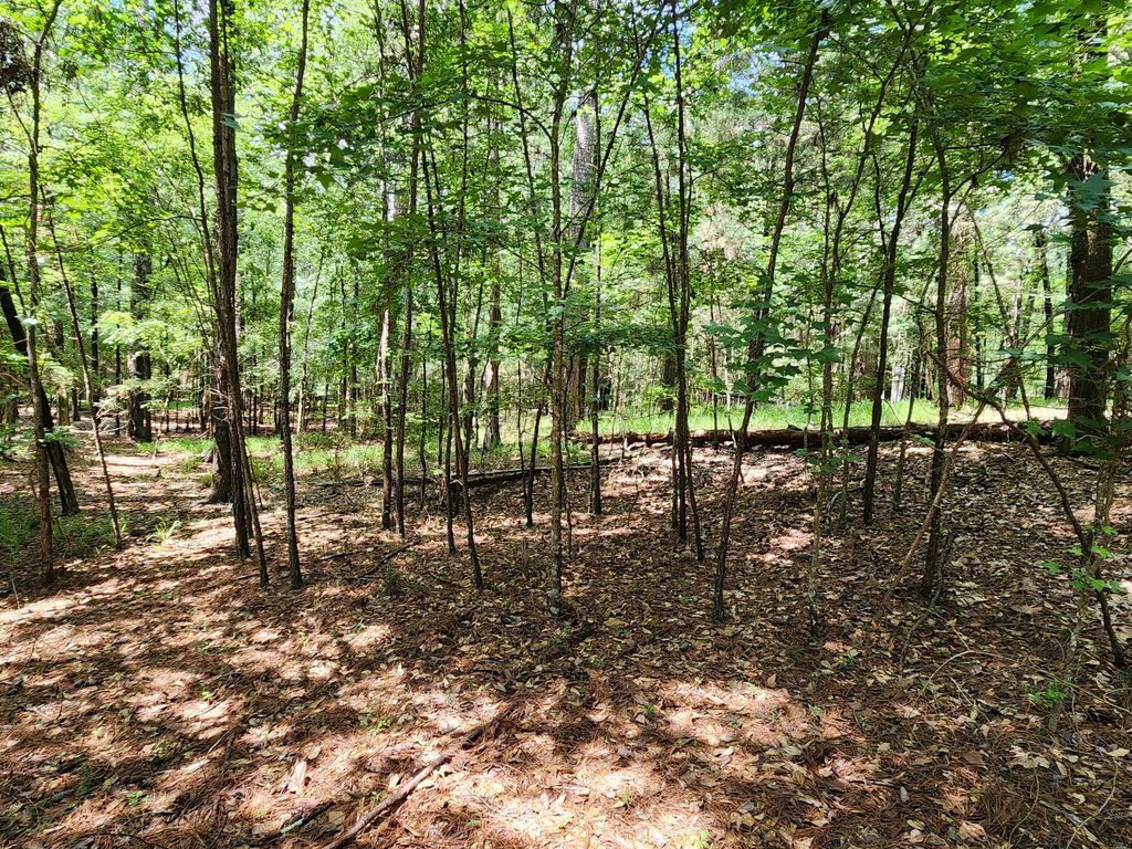 L4 B32 AMHURST Street