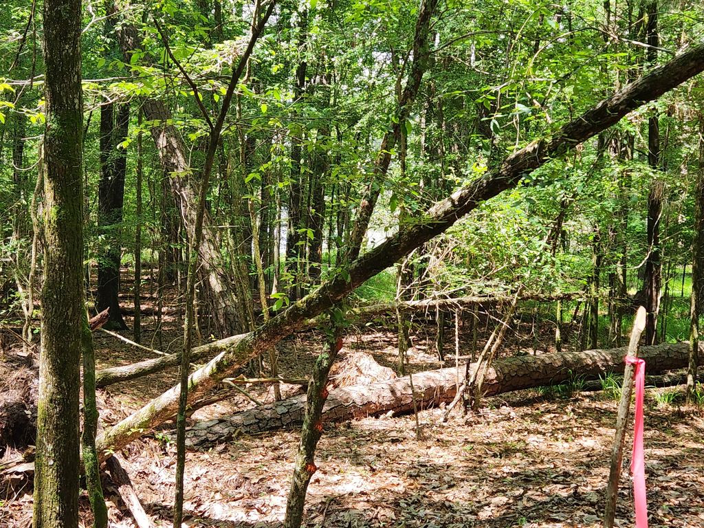 L4 B32 AMHURST Street