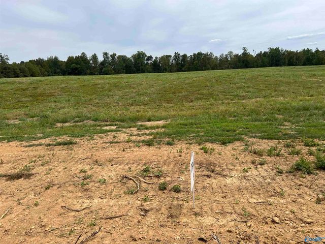 21534 Holland Road, Athens, AL 35614
