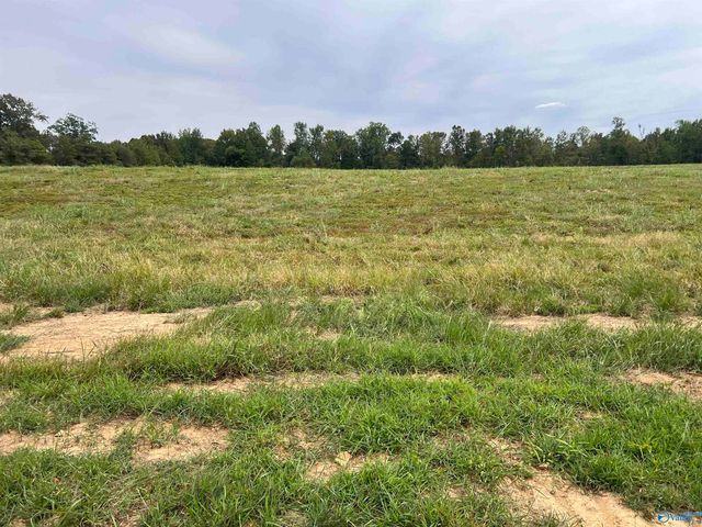 21534 Holland Road, Athens, AL 35614