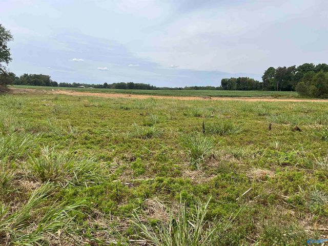 21534 Holland Road, Athens, AL 35614