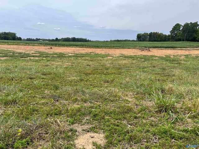 21534 Holland Road, Athens, AL 35614