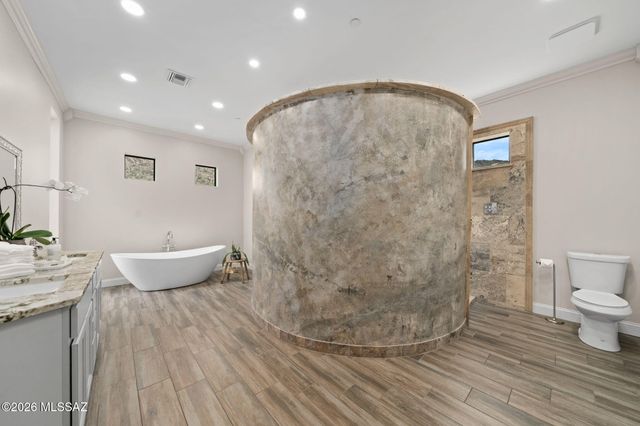 15251 N Dove Canyon Pass, Marana, AZ 85658