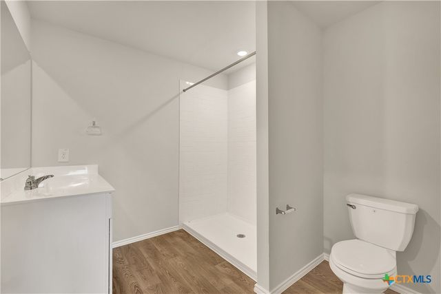 305 WILD GOOSE Drive, Luling, TX 78648