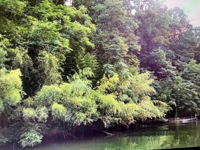 Lot2 Snidow DR, Goodview, VA 24095