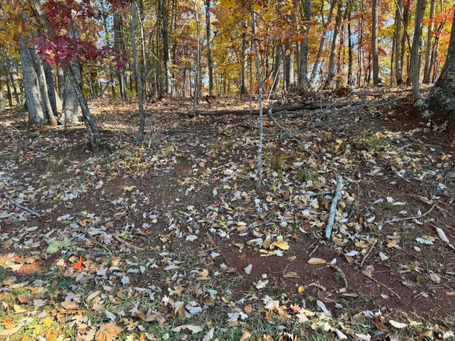 Lot2 Snidow DR, Goodview, VA 24095