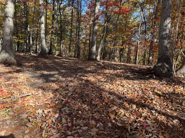 Lot2 Snidow DR, Goodview, VA 24095
