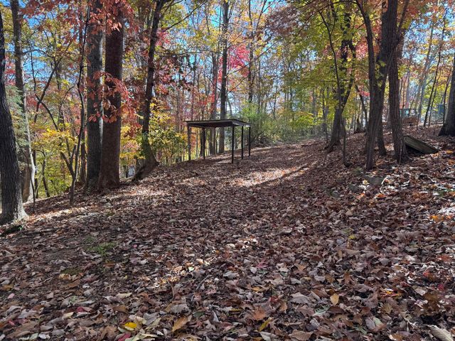 Lot2 Snidow DR, Goodview, VA 24095