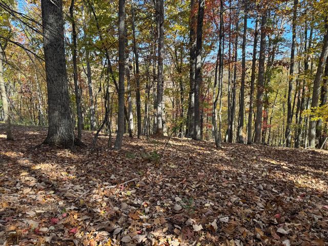 Lot2 Snidow DR, Goodview, VA 24095