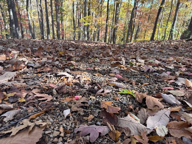 Lot2 Snidow DR, Goodview, VA 24095