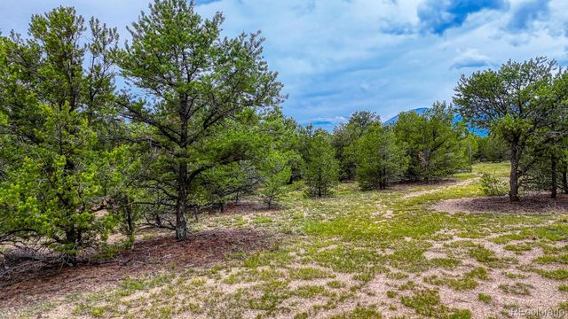 10766 Sawatch Range Road, Salida, CO 81201