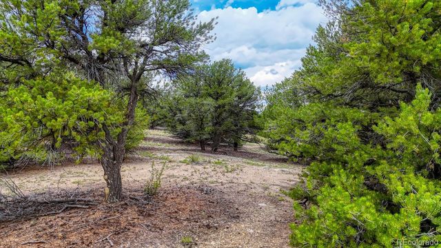 10766 Sawatch Range Road, Salida, CO 81201