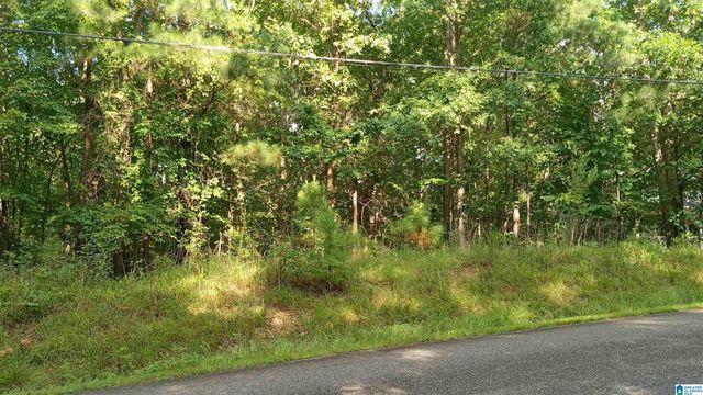 PEYTON DRIVE, Lakeview, AL 35111