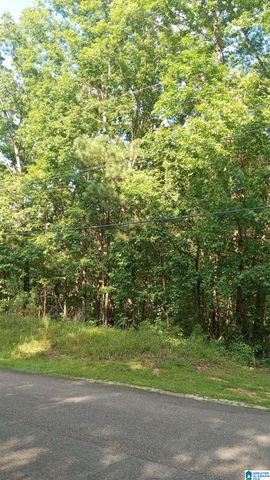 PEYTON DRIVE, Lakeview, AL 35111