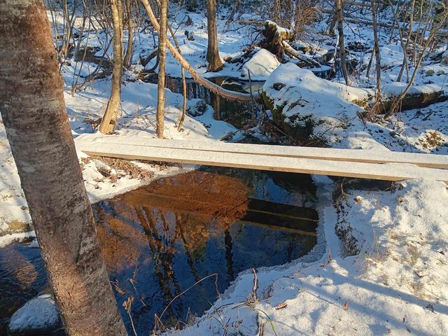 5108 North Road, Maidstone, VT 05905