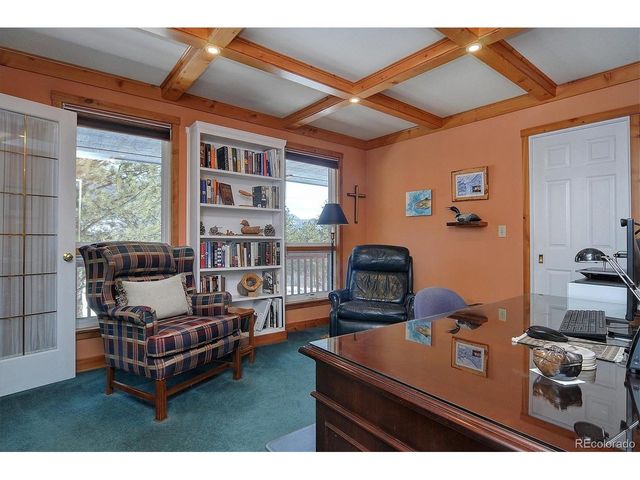 18780 Morrison Creek Cir, Buena Vista, CO 81211