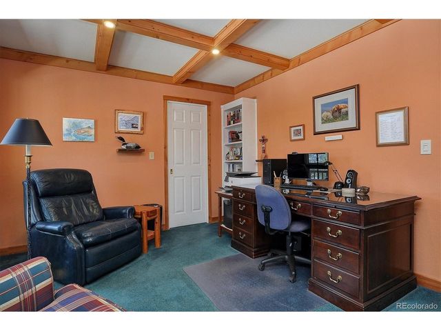 18780 Morrison Creek Cir, Buena Vista, CO 81211